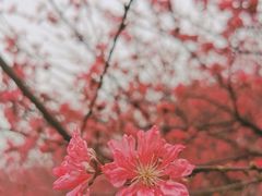 -堤角公园