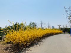 -永定河休闲森林公园