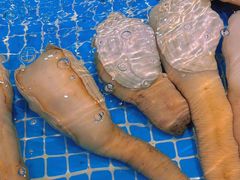 -三亚火车头万人海鲜广场