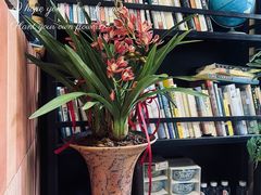 -蓝山四季西餐植物店