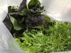 -兴芮温泉度假区