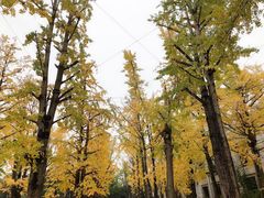 -百林公园-两江幸福广场