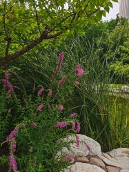 -大望京儿童游乐场