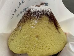 -富士山吉田線五合目
