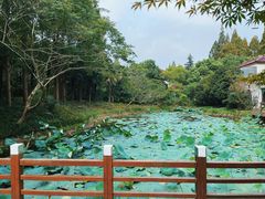 -上海怡沁园度假酒店