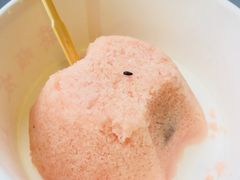 定胜糕豆沙-定胜糕小店-蒋顺发