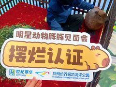 -世纪联华超市(江城店)