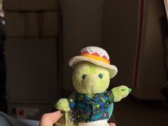 -深圳宝安国际机场