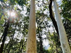 -白云山风景名胜区