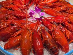 -舞虾小说.涮肉.烧烤(国顺东路店)