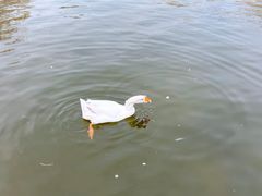-丰台花园