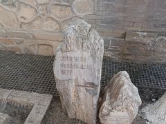 -大觉寺-停车场
