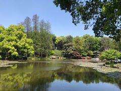 -山外山菜馆(玉泉路店)