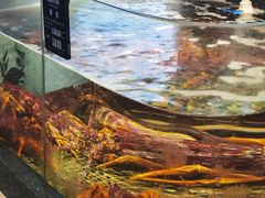 -海鲜e族(马王堆店)