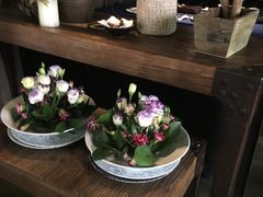 -都氏家DUSJOY(翡翠城店)