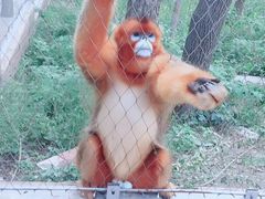 -哈尔滨北方森林动物园