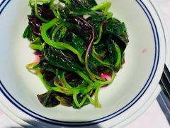 -壹盏灯(惠农店)