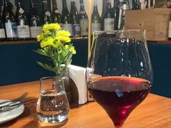 -Wine Universe 宇宙酒馆