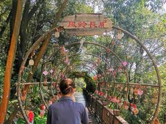 -石燕湖生态旅游景区