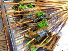 鳝鱼-晓靖轩烧烤(沙河风情店)