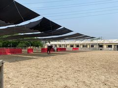 -北京群众马术培训基地