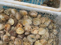 -和源祥·日照菜扛把子(万平口一店)