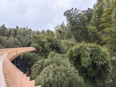 -蜀南竹海景区