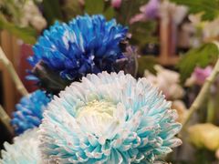 -谷莠子花艺·气球派对·绿植造景·花艺沙龙(金光华广场店)