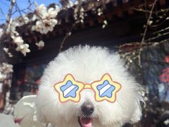 -春风习习