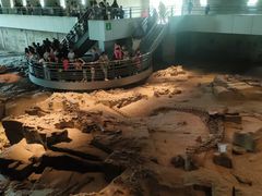 -自贡恐龙博物馆