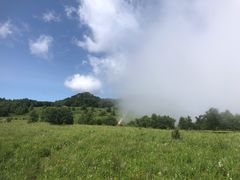 -白草畔自然风景区