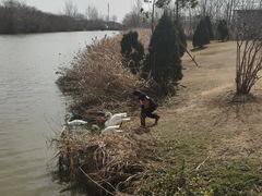 -盐城丹顶鹤湿地生态旅游区