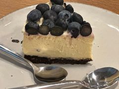 -Wagas沃歌斯(汇智店)