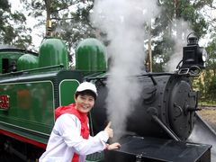 -普芬比利蒸汽火车