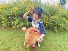 -前小桔亲子创意农场·草莓采摘·露营烧烤