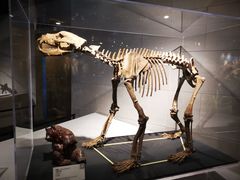 -北京周口店北京人遗址博物馆