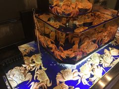 -蟹道乐(道顿堀本店)