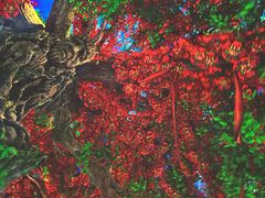 -芜湖方特东方神画