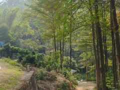 -黄埔油麻山森林公园