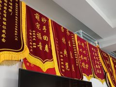 -顺强宠物诊所·狂犬免疫·夜诊·骨科(嘉定店)