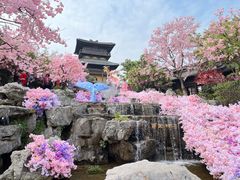 -茅山东方盐湖城景区