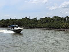 -东寨港红树林旅游区