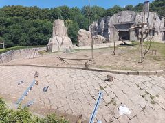 -哈尔滨北方森林动物园
