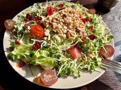 奶酪沙拉-机器人火炉披萨