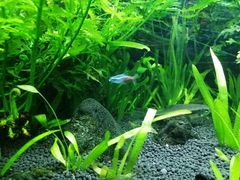 -上海海洋水族馆