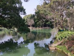 -西溪国家湿地公园