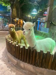 -宝燕乐园(闵行旗舰店)