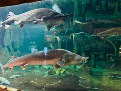 -华夏文旅海洋公园