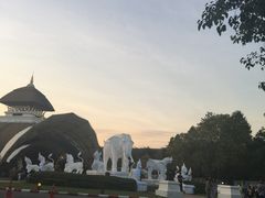 -清迈夜间动物园