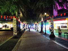 -三亚海昌梦幻海洋不夜城